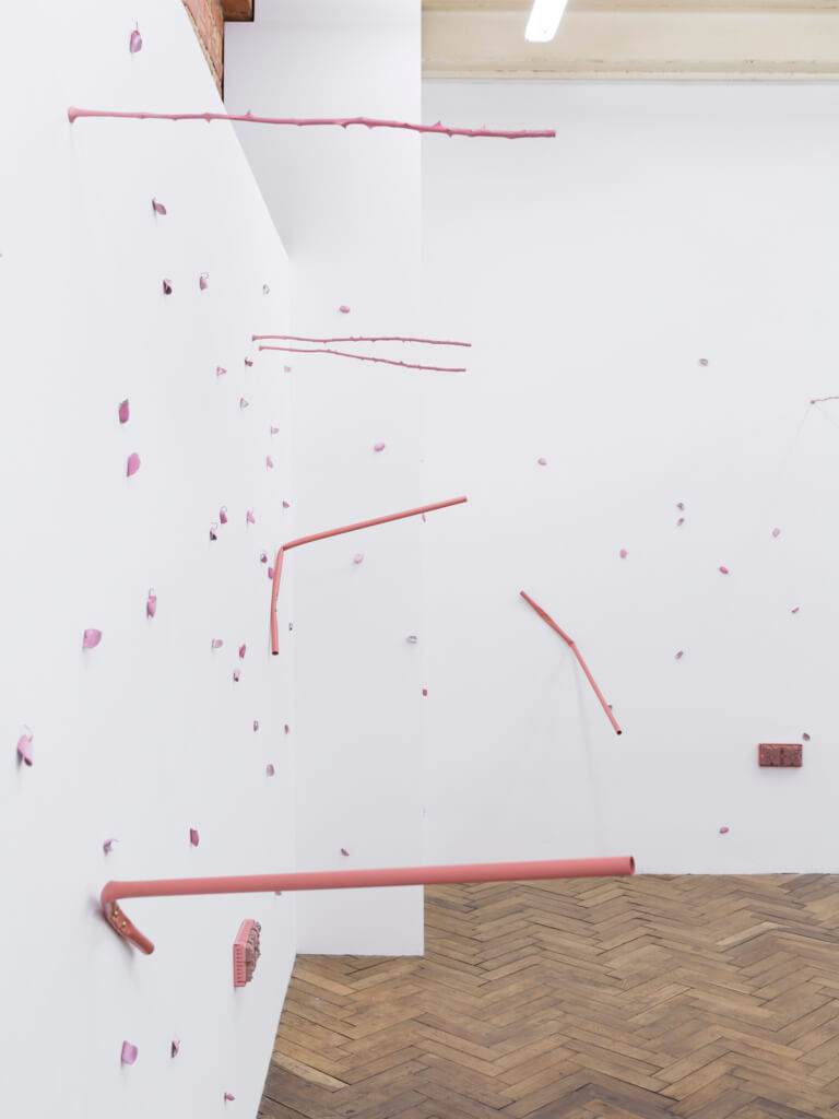 Natalie Dray, Facelift, installation view