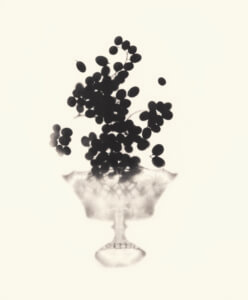Cornelia Parker, Still Life with Levitating Grapes, 2015