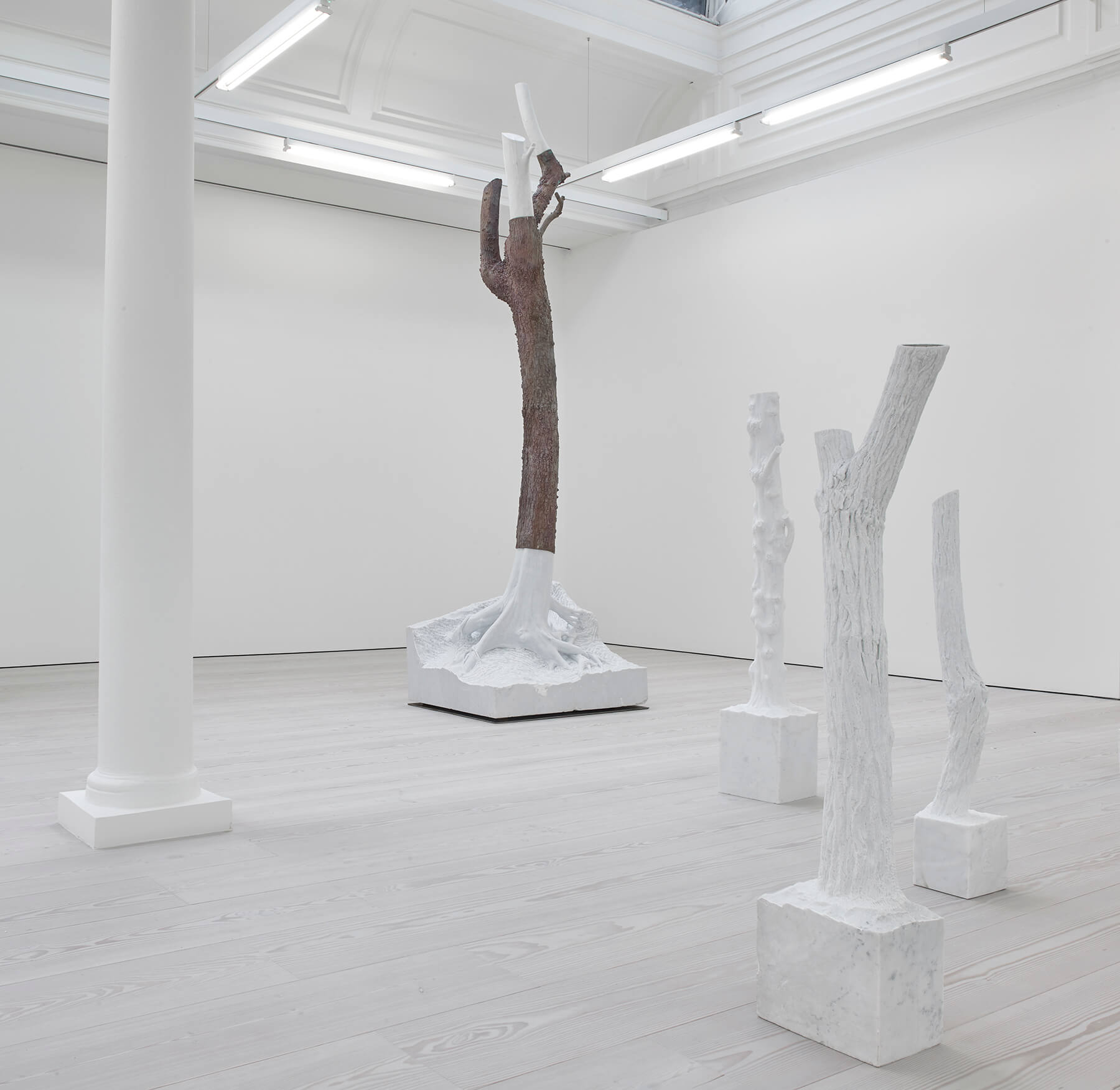Giuseppe Penone, Fui, Sarò, Non sono (I was, I will be, I am not) Installation view at Marian Goodman Gallery London