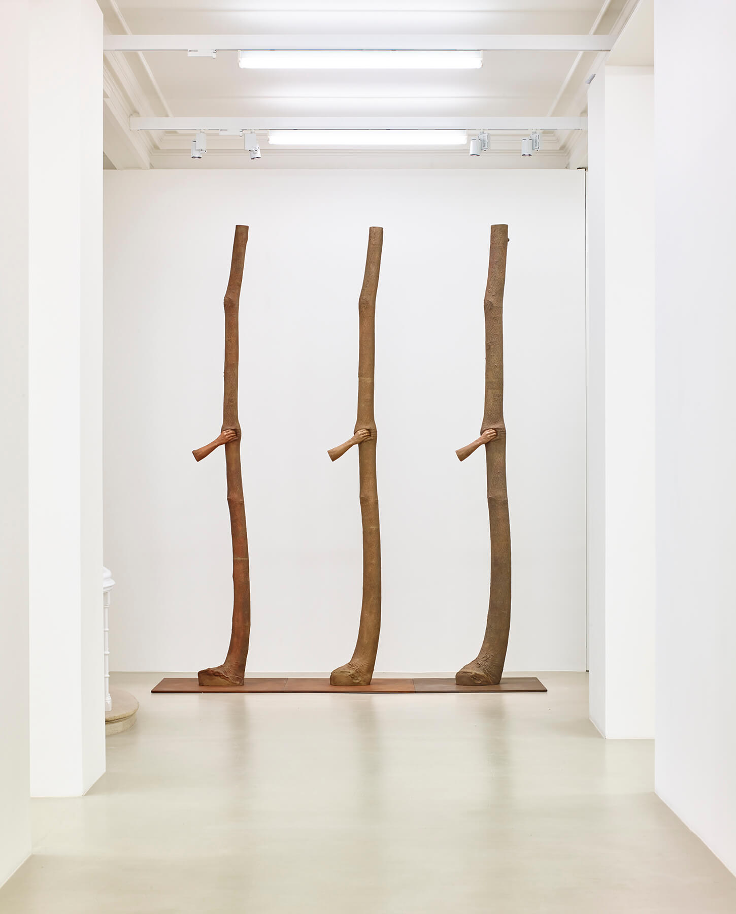 Giuseppe Penone, Fui, Sarò, Non sono (I was, I will be, I am not) Installation view at Marian Goodman Gallery London
