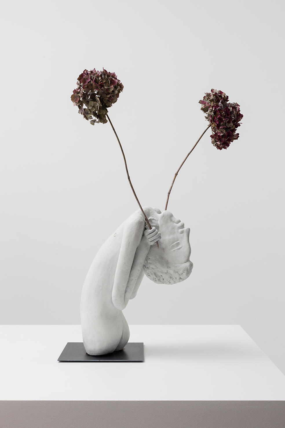 Mark Barker, Untitled (Hydrangea), 2015