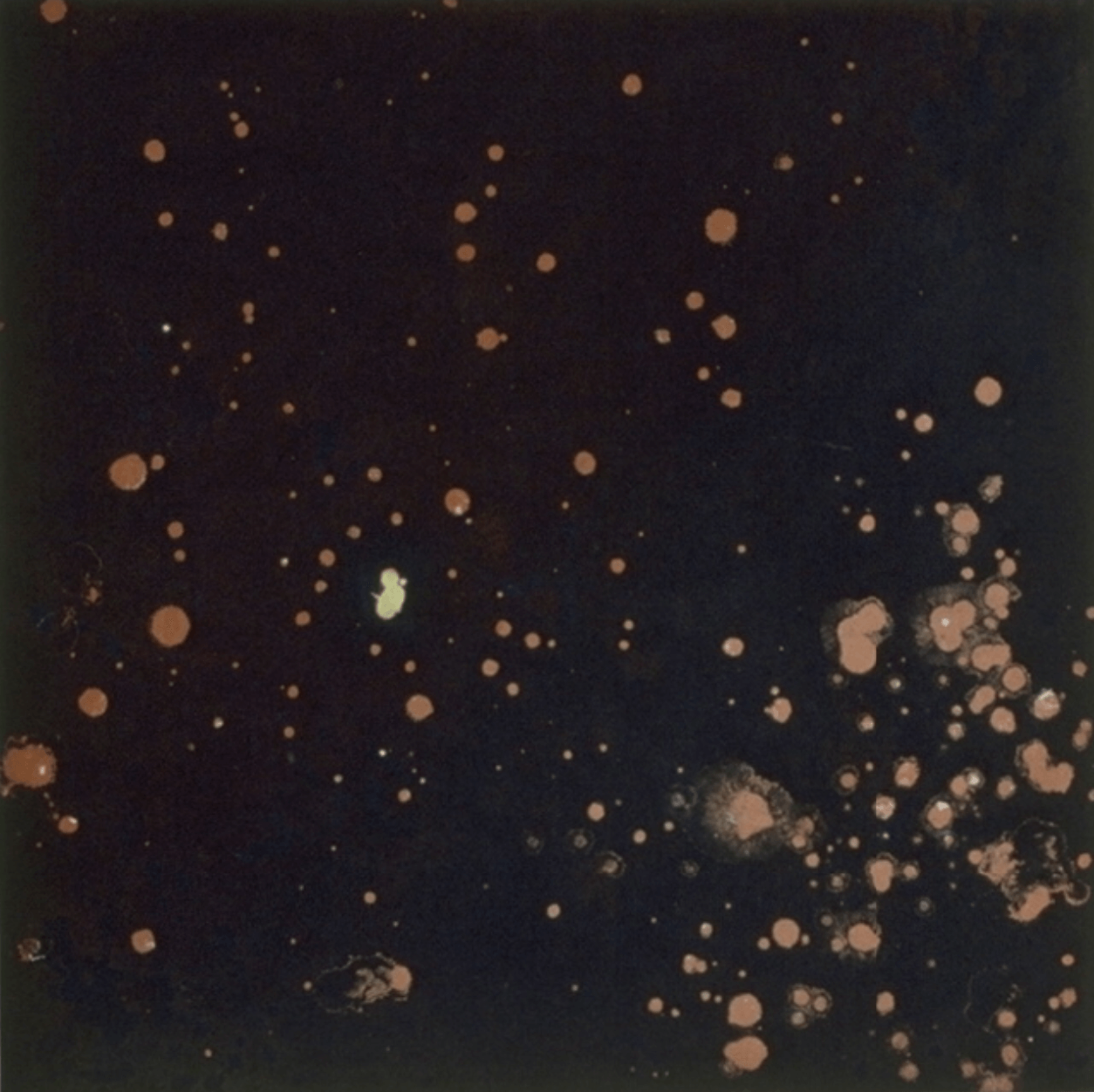 Pat Steir, Starry Nights, 1996