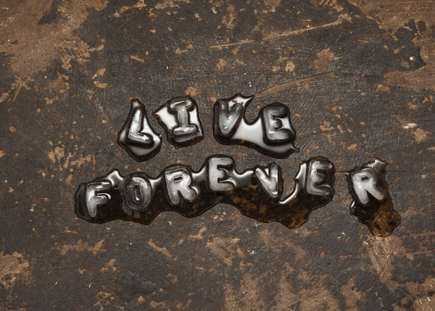 Tim Etchells, Live Forever, 2011 Image Courtesy of the Artist