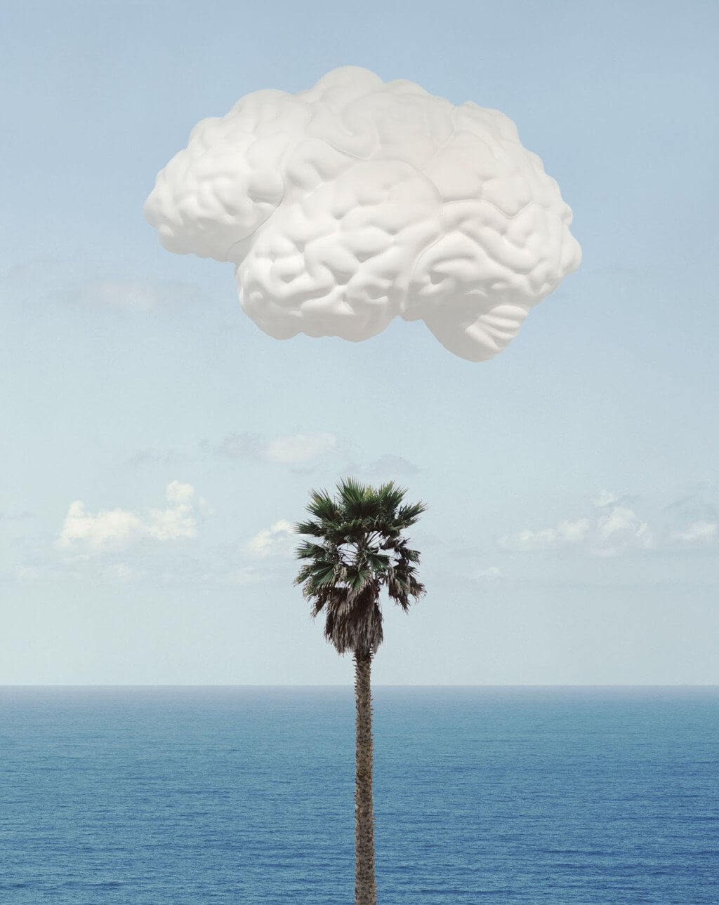 John Baldessari, Brain:Cloud (With Seascape and Palm Tree), 2009