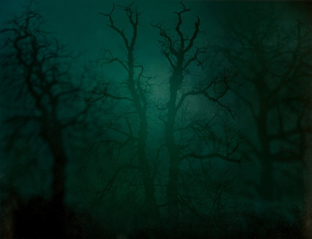 Nicholas Hughes, In Darkness Visible (Verse I), no 14, 2007 Photography, Landscape