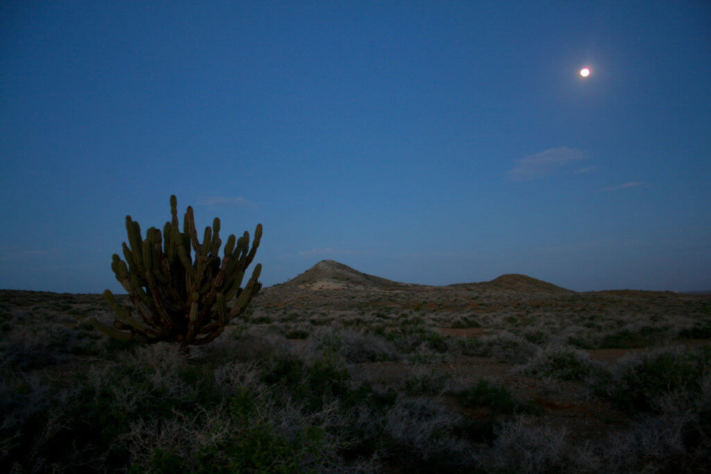 Colombia, La Guajira, Desert, Travel Photography, moonlight